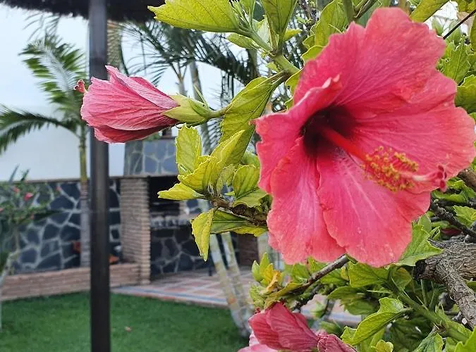 빌라 Angelyn 네르하