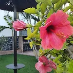 Vila Angelyn Nerja