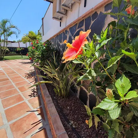 Vila Angelyn Nerja